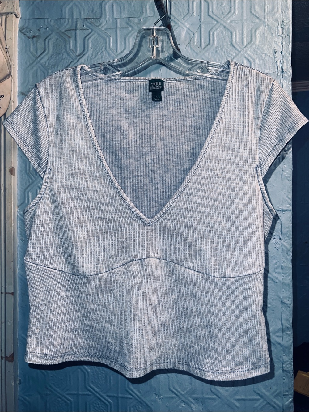 wild fable Light Gray Ribbed V-Neck Crop Top